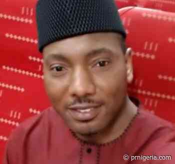 Dabiri-Erewa Congratulates Nelson Aluya on Appointment as Chief Medical Officer of NCHC in America - PR Nigeria