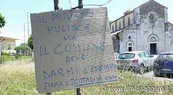Ordinanza anti-erbacce a Sora, la protesta dei cartelli: «Il privato pulisce, il Comune deve dare l'esempio» - ilmessaggero.it