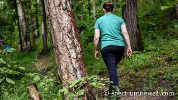 Cincinnati Parks names newest interim director - Spectrum News 1