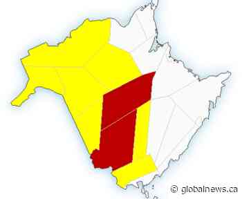 Severe thunderstorm warnings and watches in effect for parts of New Brunswick