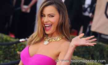 AGT's Sofia Vergara turns up the heat in high-cut lingerie from her own line - HELLO!