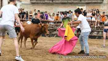 Regresa la Vaca de San Isidro en su plaza de carros a Dos Torres - Diario Córdoba