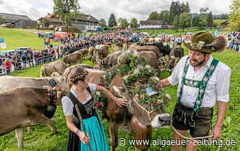 Viehscheid Memhölz 2022 Waltenhofen Hupprechts: Termin, Fotos, Almabtrieb, Unterkunft, Anfahrt, Parken, Alpen, Ablauf, Besonderheit - Allgäuer Zeitung