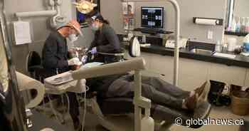 Indigenous dental training program aims to improve care access in Saskatchewan