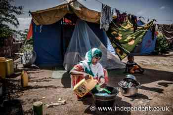 World faces ‘unprecedented’ wave of hunger as Ukraine harvests worse than feared - The Independent