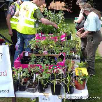 Alton Local Food Initiative holds seedling swap | altonherald.com - Alton Herald