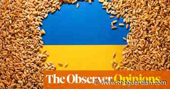 The food crisis is what happens when global chains collapse. We might need to get used to it - The Guardian