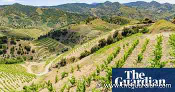 Digging up the best wines by vineyard soil type - The Guardian