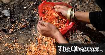 Britain slashes humanitarian aid by 51% despite global food crisis - The Guardian
