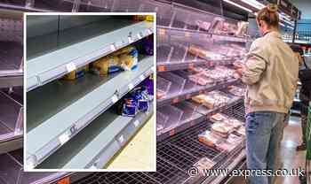 UK food shortage: From fish and chips to bread - the goods Brits could struggle to buy - Express