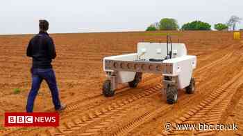 Cyber security: Global food supply chain at risk from malicious hackers - BBC