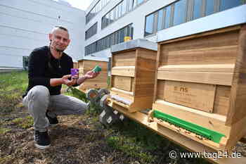 Bei "eins Energie" in Chemnitz summt's jetzt auf dem Dach - TAG24