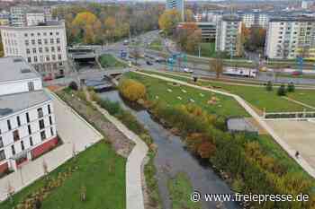 Wer leitet "braune Brühe" in die Chemnitz ein? - freiepresse.de