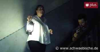 Hochschuljubiläum umfängt Trossingen und Besucher mit Farbe, Klang und Anstößen - Schwäbische