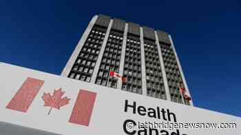 Rise of new opioid highlights unpredictable drug supply: Expert - Lethbridge News Now