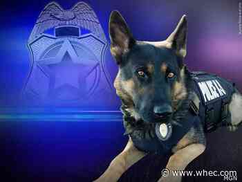 K-9 unit 'Booby' finds wanted criminal with 8 warrants