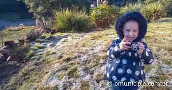 Frio sem trégua: região de Brusque tem geada pelo terceiro amanhecer seguido - O Município