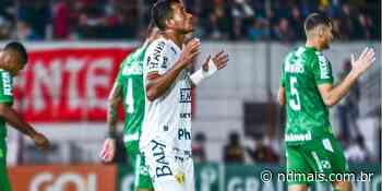 Vivendo ‘jejum’, artilheiro do Brusque tenta ‘fazer as pazes’ com as redes - ND Mais