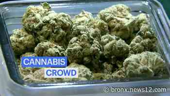 Power & Politics Full Show: Big money pricing out 'social equity' applicants from legal cannabis market - News 12 Bronx