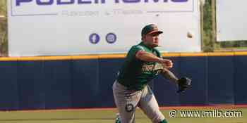 Guerreros: Ofensiva de 13 imparables en el triunfo de Leones - Minor League Baseball