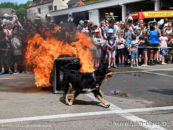 Feuerwehr Ulm feiert 175-jähriges Jubiläum mit Tag der offenen Tür und 12 000 Besuchernm