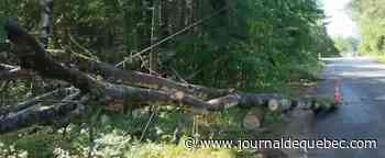 Lendemain de tempête : des dommages importants dans plusieurs régions du Québec