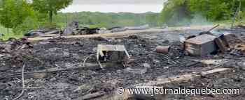 Incendie à la ferme de François Lambert; 35 moutons périssent