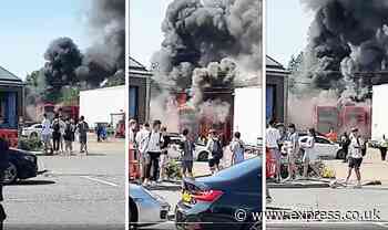 London bus explosion: Five electric buses go up in a fireball – smoke seen for miles - Express