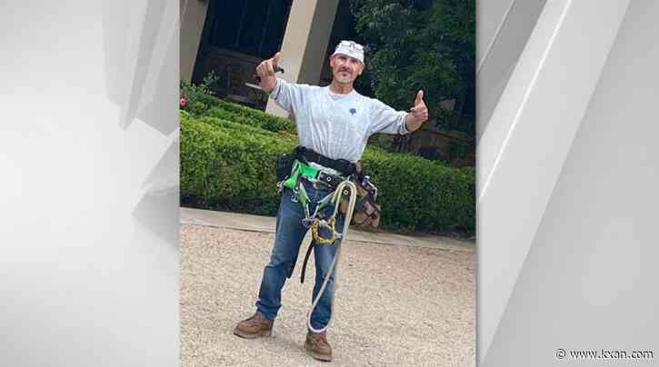 Texas landscape worker dies in bee attack while suspended from tree: 'It was horrible'