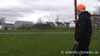 Field of dreams: Non-profit group gives life to former Cape Breton baseball field - CTV News Atlantic
