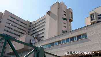 Operazioni di transizione fermate dal Covid a Trieste, le associazioni Lgbt: «Si riparta» - Il Piccolo