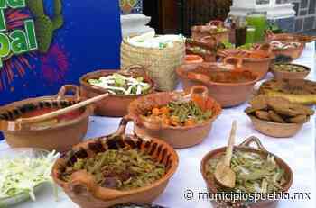 Feria del Nopal llegará este 28 de mayo a Tlaxcalancingo - Municipios Puebla