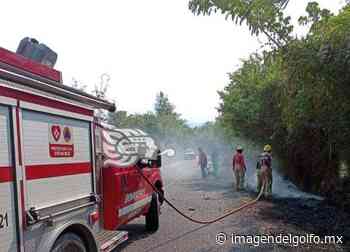 Una semana ardua de incendios forestales en Misantla; al menos 11 - Imagen del Golfo