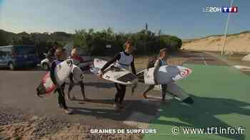 Hossegor : des graines de surfeurs se démarquent déjà - TF1 INFO