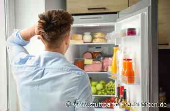 Stromverbrauch: Wann soll der alte Kühlschrank raus? - Wirtschaft - Stuttgarter Nachrichten
