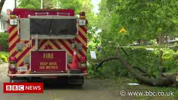 Canada storms: Nearly a million homes lose power in high winds