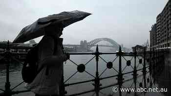 Sydney news: Heavy rain here to stay, flood warnings for Lismore again - ABC News