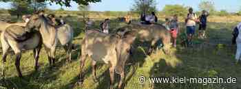 Abenteuer vor der Haustür erleben – mit dem Naturgenussfestival - Kiel-magazin.de