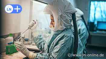 Affenpocken: Was ein UKSH-Mediziner aus Kiel zu Übertragungswegen und Risiken sagt - Lübecker Nachrichten