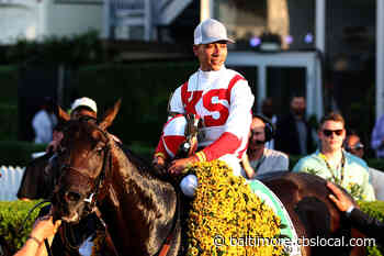 Rich Strike Yes, Preakness Champ Early Voting No For Belmont - CBS Baltimore