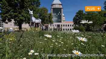 Augsburg: Hier blüht Natur mitten in der Stadt - trotz Menschenmassen | Augsburger Allgemeine - Augsburger Allgemeine