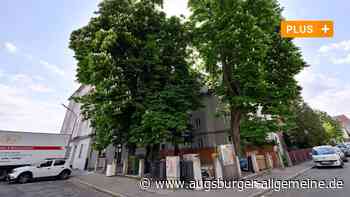 Augsburg: Der Streit um die Biergarten-Kastanien an der Rosenaustraße verschärft sich | Augsburger Allgemeine - Augsburger Allgemeine