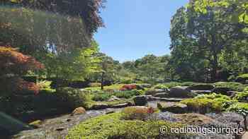 Japanisches Frühlingsfest in Augsburg - Radio Augsburg