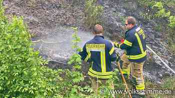 Waldbrand an Bahnlinie bei Blankenburg - Volksstimme