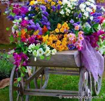 Benevento in fiore: la Mostra Mercato di Botanica, Giardinaggio e Artigianato - Napoli da Vivere