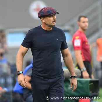 Mihajlovic: «Genoa già in B? Niente cali di concentrazione, dobbiamo essere motivati» - PianetaGenoa1893 - Pianetagenoa1893.net