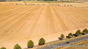 Wetter - Dresden - Neue Fruchtsorten und Bodenbearbeitung helfen Bauern - Panorama - Süddeutsche Zeitung - SZ.de