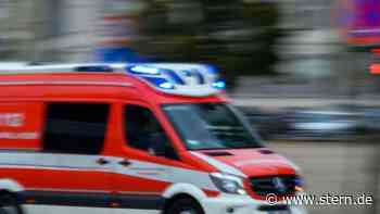 Feuerwehreinsatz: Nordamerikanische Schlange auf Terrasse in Dresden gefunden - STERN.de