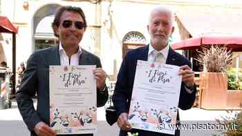 Entra nel vivo il contest 'Fiori di Pisa': in gara vetrine, balconi e finestre - PisaToday