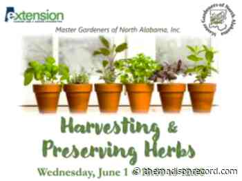 Learn to harvest, preserve herbs at Master Gardener's workshop - The Madison Record - themadisonrecord.com